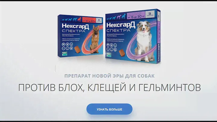 Обзор Нексгард Спектра. Таблетки против блох, клещей и гельминтов.