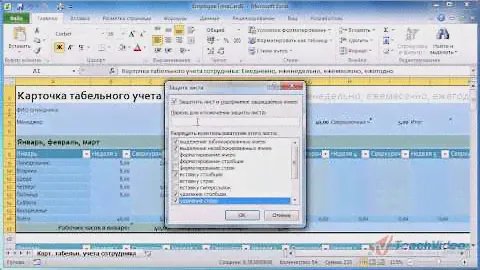 Защита данных в рабочей книге в Microsoft Office Excel 2010 (46/50)