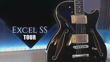 D'Angelico Excel SS Tour